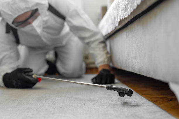 Professional Pest Control technician working in Clark County County, ID